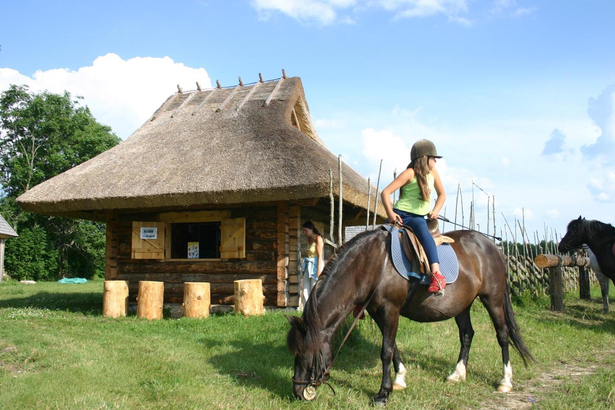 Anni Tourism Farm Vila Tammese Exterior foto